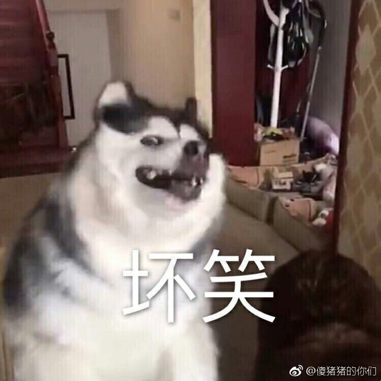 囧哥午间版 囧哥午间版图片