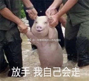 囧哥午间版:得看脸!这种超土校服穿法吴磊穿就没问题 囧哥午间版:得看脸!这种超土校服穿法吴磊穿就没问题图片