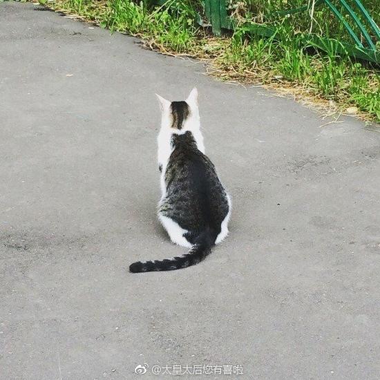 囧哥午间版:得看脸!这种超土校服穿法吴磊穿就没问题 囧哥午间版:得看脸!这种超土校服穿法吴磊穿就没问题图片
