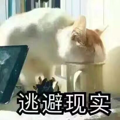 囧哥:考虑过人家女孩子的感受吗!新生孩取名王者荣耀 囧哥:考虑过人家女孩子的感受吗!新生孩取名王者荣耀图片