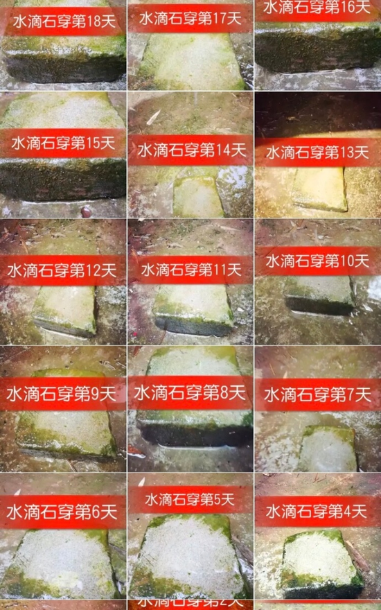囧哥午间版:成人暗语!下次回头再说有机会都表示拒绝 囧哥午间版:成人暗语!下次回头再说有机会都表示拒绝图片