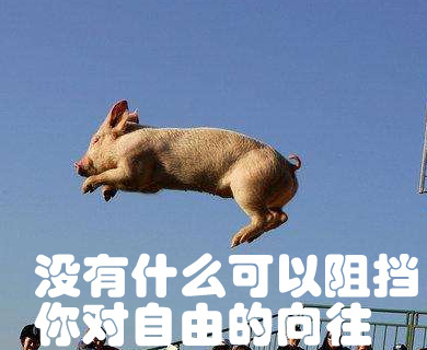 囧哥午间版:成人暗语!下次回头再说有机会都表示拒绝 囧哥午间版:成人暗语!下次回头再说有机会都表示拒绝图片