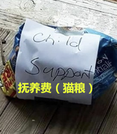 囧哥午间版:猝死不是当代青少年担忧的问题 脱发才是 囧哥午间版:猝死不是当代青少年担忧的问题 脱发才是图片