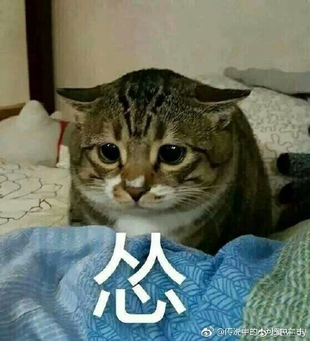 囧哥:小伙相亲称“火锅只吃清汤”,女嘉宾灭灯一片 囧哥:小伙相亲称“火锅只吃清汤”,女嘉宾灭灯一片图片