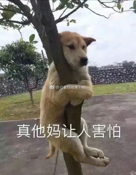 囧哥午间版:猝死不是当代青少年担忧的问题 脱发才是 囧哥午间版:猝死不是当代青少年担忧的问题 脱发才是图片