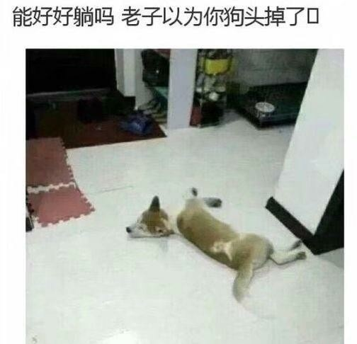 囧哥午间版:回想下 我们童年思想品德教育才是真硬核 囧哥午间版:回想下 我们童年思想品德教育才是真硬核图片