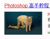 囧哥午间版:回想下 我们童年思想品德教育才是真硬核 囧哥午间版:回想下 我们童年思想品德教育才是真硬核图片