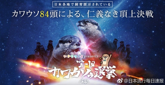 囧哥:女排战韩国朱婷15连发造罕见15-0!这是网球赛? 囧哥:女排战韩国朱婷15连发造罕见15-0!这是网球赛?图片