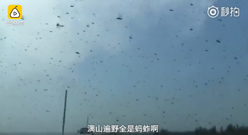 囧哥:错过LiLei和HanMeimei 00后英语课本有 囧哥:错过LiLei和HanMeimei 00后英语课本有