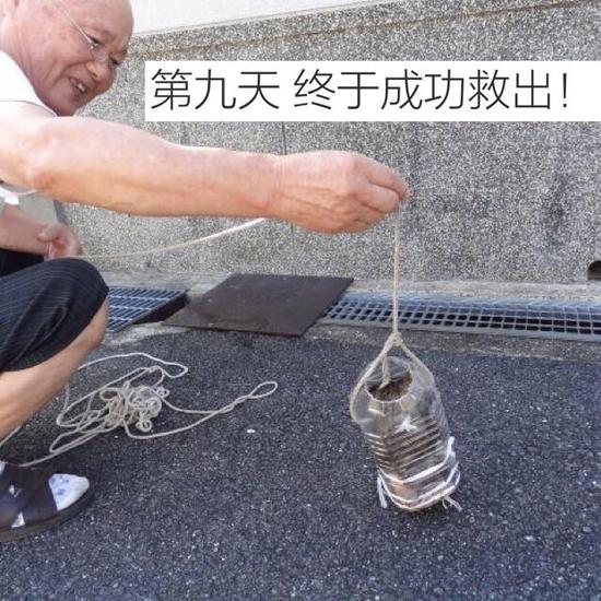 囧哥:台风名字哪家强?中央气象台喊你给台风起名了 囧哥:台风名字哪家强?中央气象台喊你给台风起名了图片