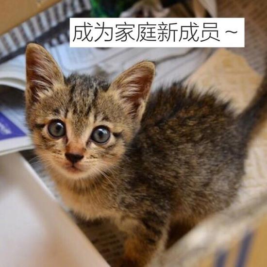 囧哥:台风名字哪家强?中央气象台喊你给台风起名了 囧哥:台风名字哪家强?中央气象台喊你给台风起名了图片