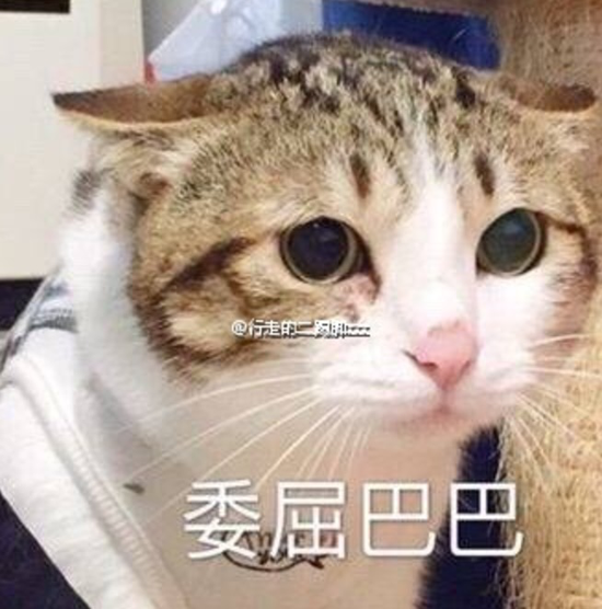 囧哥午间版:薛之谦事件体现爆料界行规 证据要慢慢放 囧哥午间版:薛之谦事件体现爆料界行规 证据要慢慢放图片
