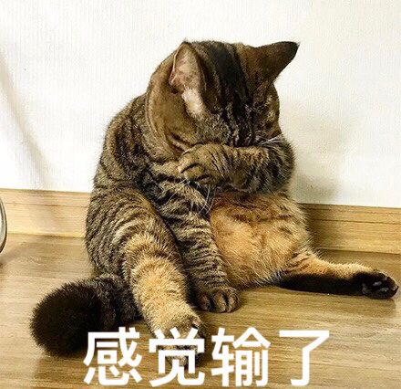 囧哥午间版:薛之谦事件体现爆料界行规 证据要慢慢放 囧哥午间版:薛之谦事件体现爆料界行规 证据要慢慢放图片