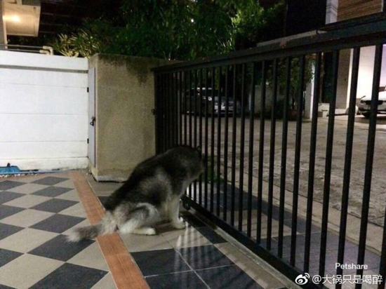 囧哥午间版:苹果每年都让你掏钱享受安卓5年前的功能 囧哥午间版:苹果每年都让你掏钱享受安卓5年前的功能图片