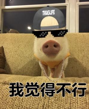 囧哥:宝马准备淘汰车钥匙 下次去夜店装X只能用奔驰 囧哥:宝马准备淘汰车钥匙 下次去夜店装X只能用奔驰图片
