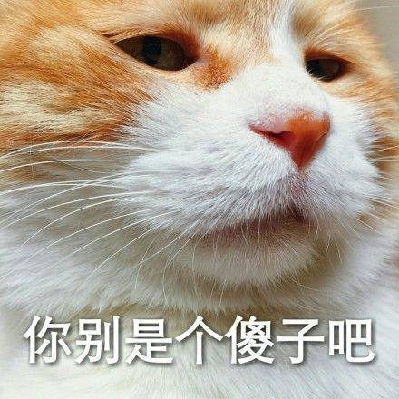 囧哥:宝马准备淘汰车钥匙 下次去夜店装X只能用奔驰 囧哥:宝马准备淘汰车钥匙 下次去夜店装X只能用奔驰图片