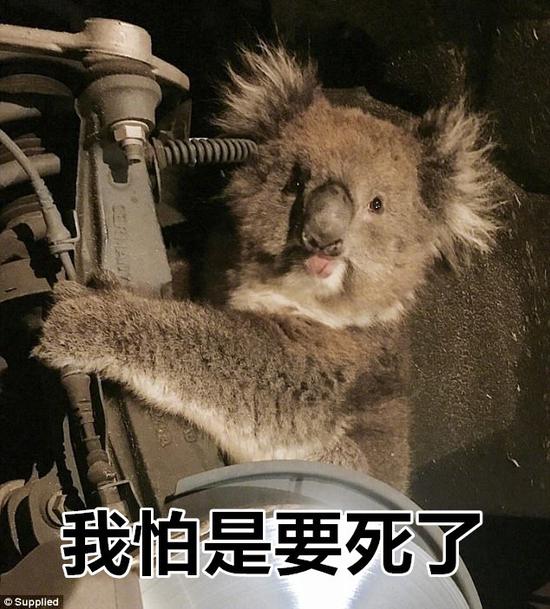 囧哥:女子进鬼屋抱工作人员 小哥说 囧哥:女子进鬼屋抱工作人员 小哥说