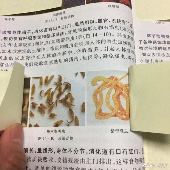 囧哥午间版:追星北上广东北哭断肠?追星最被地域歧视 囧哥午间版:追星北上广东北哭断肠?追星最被地域歧视图片
