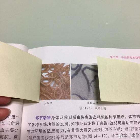 囧哥午间版:追星北上广东北哭断肠?追星最被地域歧视 囧哥午间版:追星北上广东北哭断肠?追星最被地域歧视图片