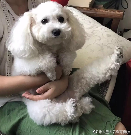 囧哥午间版:追星北上广东北哭断肠?追星最被地域歧视 囧哥午间版:追星北上广东北哭断肠?追星最被地域歧视图片