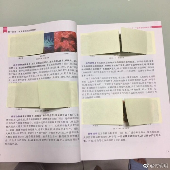 囧哥午间版:追星北上广东北哭断肠?追星最被地域歧视 囧哥午间版:追星北上广东北哭断肠?追星最被地域歧视图片