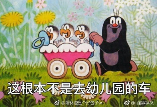 囧哥:国宝不要面子的?澳洲现在居然让大家去吃袋鼠了 囧哥:国宝不要面子的?澳洲现在居然让大家去吃袋鼠了图片