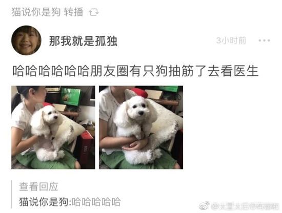 囧哥午间版:追星北上广东北哭断肠?追星最被地域歧视 囧哥午间版:追星北上广东北哭断肠?追星最被地域歧视图片
