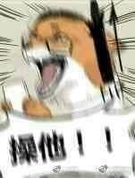 囧哥:无黄牛无护栏 iPhone8首发来4人欢迎仪式很尴尬 囧哥:无黄牛无护栏 iPhone8首发来4人欢迎仪式很尴尬图片