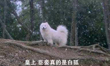囧哥:有毒!高校迎新唱萧敬腾名曲立刻暴雨 唱完雨停 囧哥:有毒!高校迎新唱萧敬腾名曲立刻暴雨 唱完雨停图片