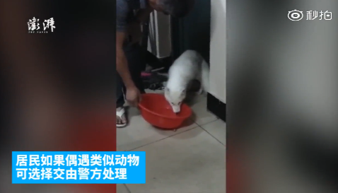 囧哥:有毒!高校迎新唱萧敬腾名曲立刻暴雨 唱完雨停 囧哥:有毒!高校迎新唱萧敬腾名曲立刻暴雨 唱完雨停图片