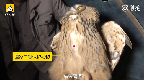 囧哥:有毒!高校迎新唱萧敬腾名曲立刻暴雨 唱完雨停 囧哥:有毒!高校迎新唱萧敬腾名曲立刻暴雨 唱完雨停图片