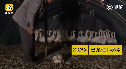 囧哥:有毒!高校迎新唱萧敬腾名曲立刻暴雨 唱完雨停 囧哥:有毒!高校迎新唱萧敬腾名曲立刻暴雨 唱完雨停图片