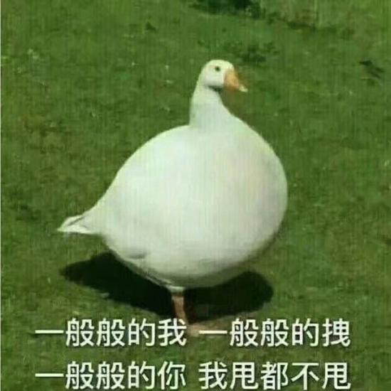 囧哥:心态崩了!日本天才少女连败乒乓国手已想放弃 囧哥:心态崩了!日本天才少女连败乒乓国手已想放弃图片