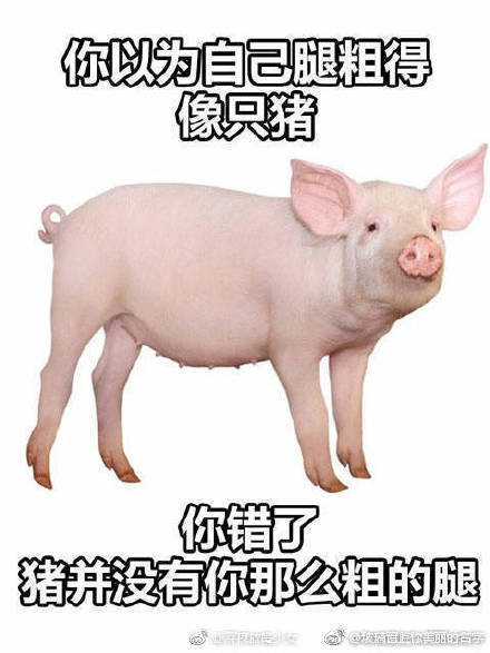 囧哥:蓝翔校长称 囧哥:蓝翔校长称