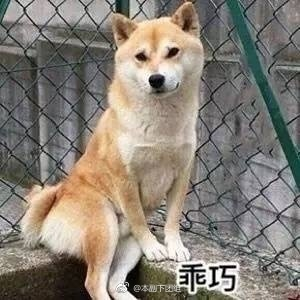 囧哥:剥蟹神器!他发明自动剥螃蟹机器人能直接吃蟹肉 囧哥:剥蟹神器!他发明自动剥螃蟹机器人能直接吃蟹肉图片
