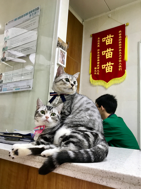 囧哥:蓝翔校长称 囧哥:蓝翔校长称