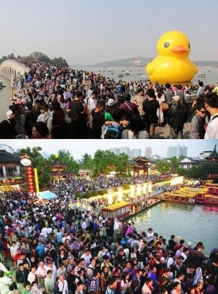 囧哥:剥蟹神器!他发明自动剥螃蟹机器人能直接吃蟹肉 囧哥:剥蟹神器!他发明自动剥螃蟹机器人能直接吃蟹肉图片