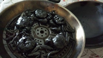 囧哥:剥蟹神器!他发明自动剥螃蟹机器人能直接吃蟹肉 囧哥:剥蟹神器!他发明自动剥螃蟹机器人能直接吃蟹肉图片
