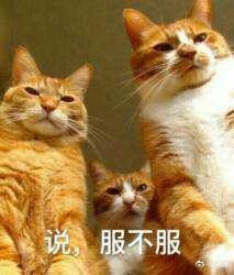 囧哥:剥蟹神器!他发明自动剥螃蟹机器人能直接吃蟹肉 囧哥:剥蟹神器!他发明自动剥螃蟹机器人能直接吃蟹肉图片