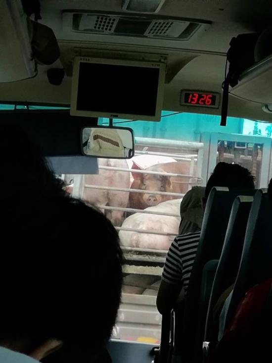囧哥:12场婚宴在同一酒店举行,你国庆随了多少份子 囧哥:12场婚宴在同一酒店举行,你国庆随了多少份子图片
