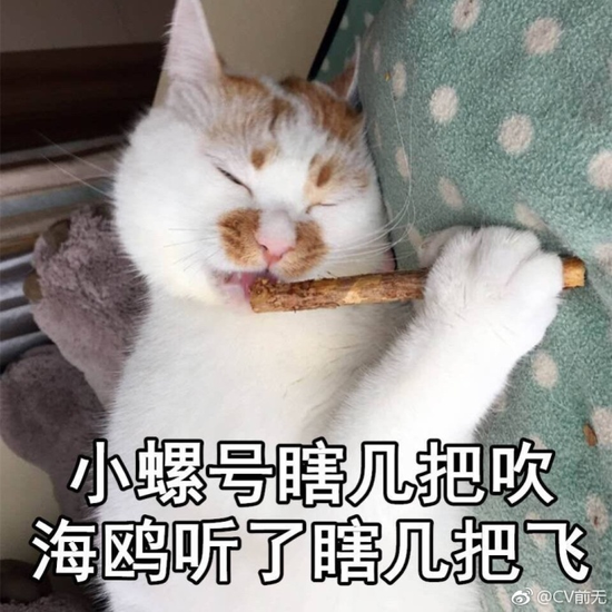 囧哥:真.中国的月亮比外国圆!今年月亮最圆在6日凌晨 囧哥:真.中国的月亮比外国圆!今年月亮最圆在6日凌晨图片