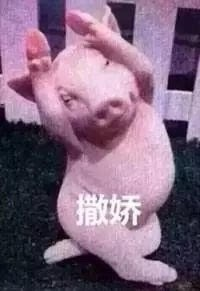 囧哥:有点强人所难了!北京监狱公众号中秋祝阖家团圆 囧哥:有点强人所难了!北京监狱公众号中秋祝阖家团圆图片