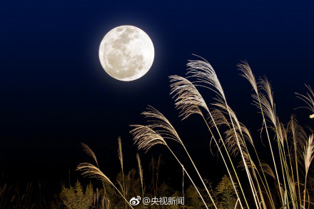 囧哥:真.中国的月亮比外国圆!今年月亮最圆在6日凌晨 囧哥:真.中国的月亮比外国圆!今年月亮最圆在6日凌晨图片