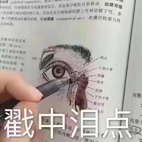 囧哥:官方发糖!用了20年毛利兰终于成为柯南女朋友 囧哥:官方发糖!用了20年毛利兰终于成为柯南女朋友图片