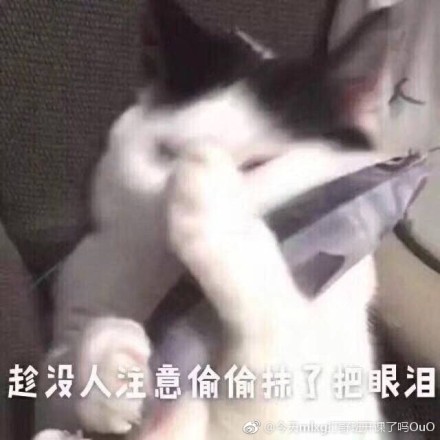 囧哥:贫穷限制我想象力!梦幻婚礼现场哪办的 新郎家 囧哥:贫穷限制我想象力!梦幻婚礼现场哪办的 新郎家图片