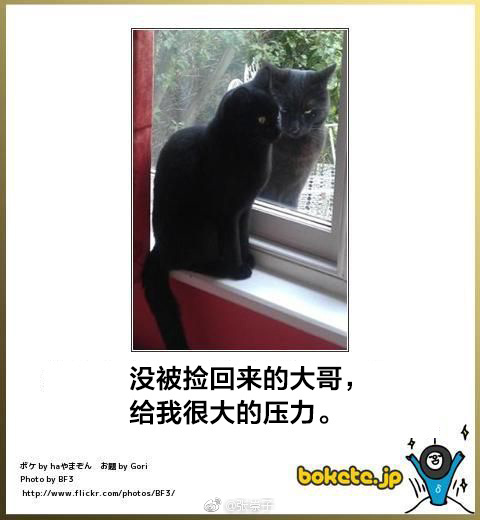 囧哥午间版:共享代肝!帮人看小孩让他肝手游一箭三雕 囧哥午间版:共享代肝!帮人看小孩让他肝手游一箭三雕图片