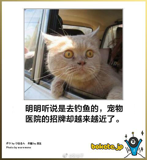 囧哥午间版:共享代肝!帮人看小孩让他肝手游一箭三雕 囧哥午间版:共享代肝!帮人看小孩让他肝手游一箭三雕图片