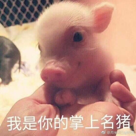 囧哥午间版:共享代肝!帮人看小孩让他肝手游一箭三雕 囧哥午间版:共享代肝!帮人看小孩让他肝手游一箭三雕图片