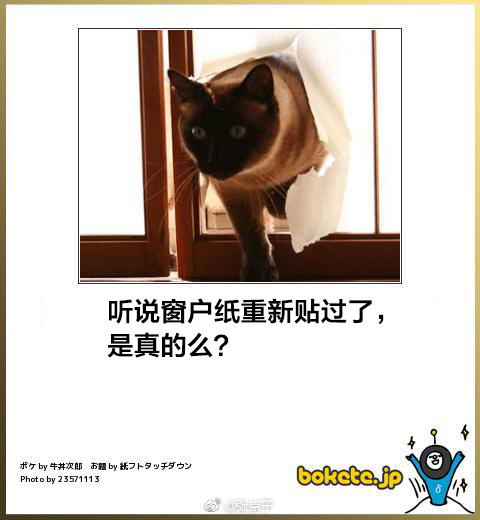 囧哥午间版:共享代肝!帮人看小孩让他肝手游一箭三雕 囧哥午间版:共享代肝!帮人看小孩让他肝手游一箭三雕图片