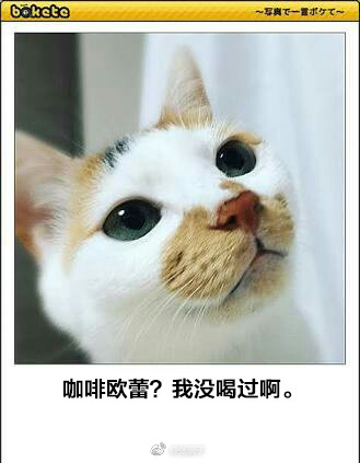囧哥午间版:共享代肝!帮人看小孩让他肝手游一箭三雕 囧哥午间版:共享代肝!帮人看小孩让他肝手游一箭三雕图片